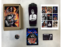 Бокс Сектор Газа, Юрий Хой №34