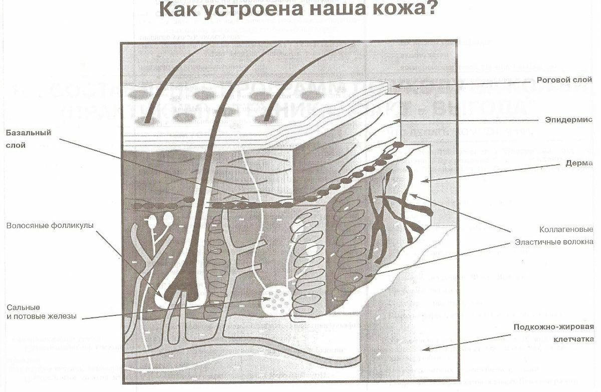 Федеральный закон от 06.04.2011 г. № 63-ФЗ