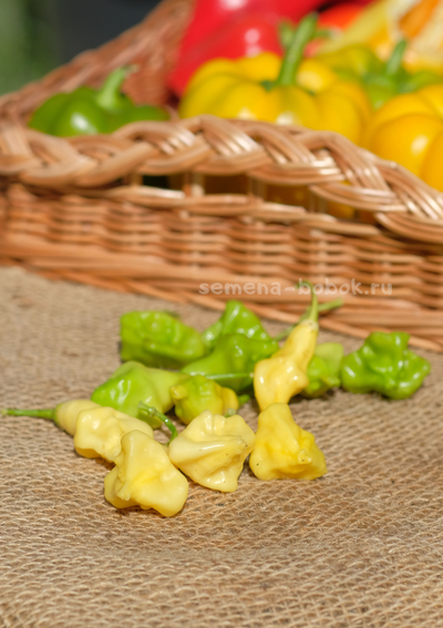 Перец острый Dulce Luna (Дольче Луна), 10 шт