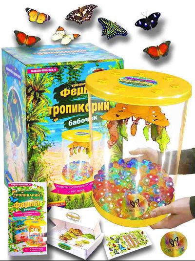 Ферма бабочек Тропикарий от Green Wings Магазин бабочек. Ру 7 куколок бабочек . Бабочки  5-9 см.