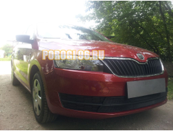 Защита радиатора Skoda Rapid 2013-2017 (2 части) black