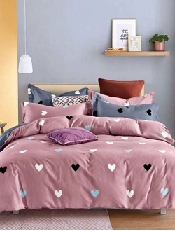 Постельное белье семейное TANGO Dream Fly микросатин 160x210x2 220x245x1 50x70x2 DF05-463-50