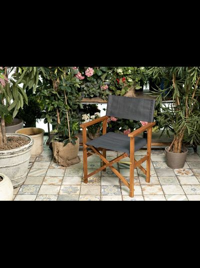 Стул складной из акации Director