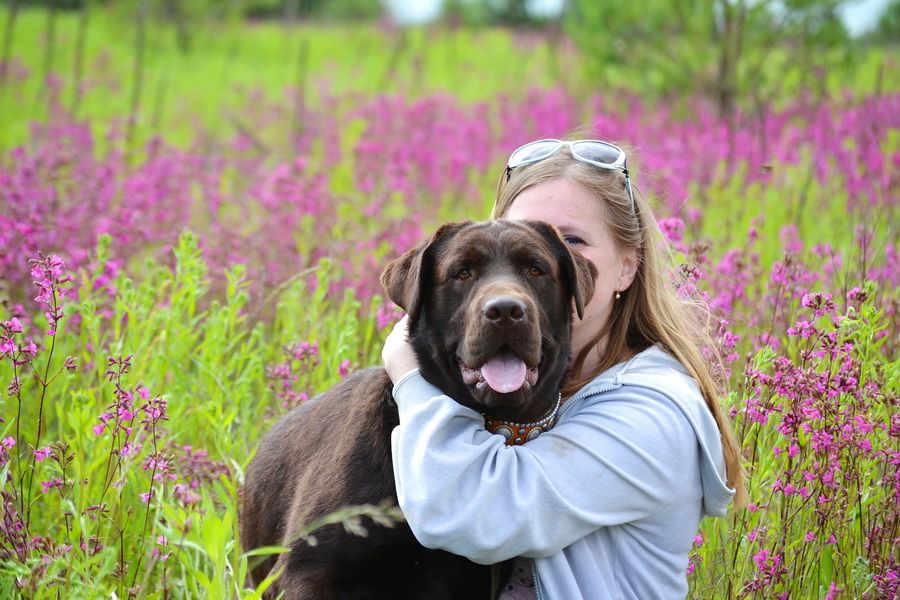 Лабри Берри Нимбус Браун