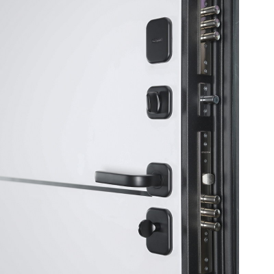 Стальная дверь   Трея. Заказная модель.