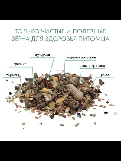 Fiory (Фиори) Ratty корм для крыс, 850 г