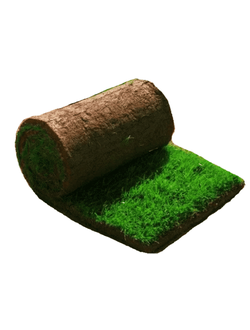 Рулонный газон "Люкс"