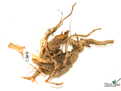 Коряга ПУСТЫННАЯ XXXL (40-50 см)