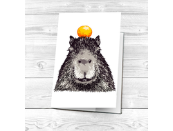 Обложка на паспорт Капибара, Kapibara-san №25