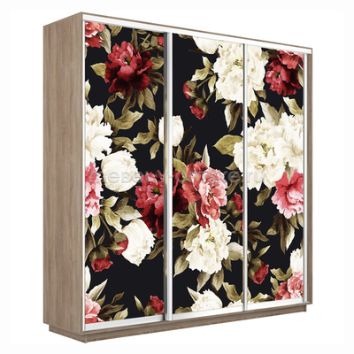 Шкаф-купе Трио-Фото (Пионы) 1800*450*2200