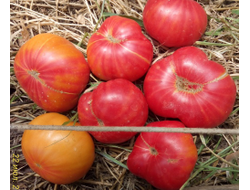 Томат Немецкий полосатый (Striped German)