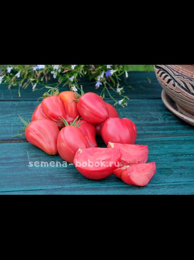 Томат Work Release Paste (Рабочий Выпуск Пасты), 10 шт