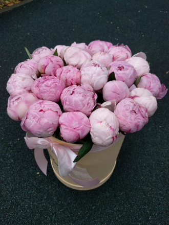 Cloud of peony Season от 9 шт.