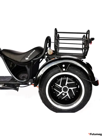 Citycoco Skyboard br Moto 2000w