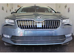 Защита радиатора Skoda Superb 2015- (2 части) black PREMIUM