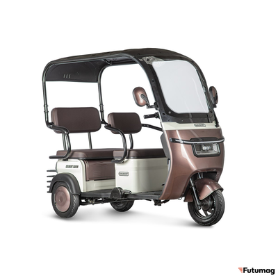 Электротрицикл Rutrike Gelbert Sarin 48V/60V 1000Вт коричнево-белый