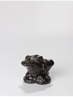 Денежная  трехлапая жаба.