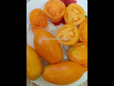 Томат Оранжевая прогулка (Orange walk)