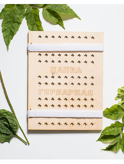 Папка гербарная