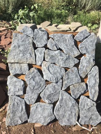 Голтованный дракон синий