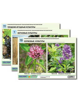 Гербарий фотографический "Сельскохозяйственные растения России"