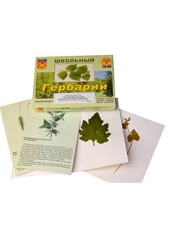 Гербарий "Систематика растений. Высшие споровые и семенные" (раздаточный)