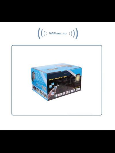 Уличная WiFi/LAN охранная видеокамера + фонарь с аудио каналом (дуплекс), с DVR. Full HD (Homsca Light)
