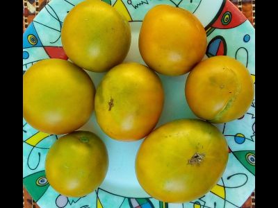 Томат Лайм Грин салат, (Lime Green Salad) США