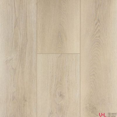 SPC ламинат FirstFloor Серый Дикий Лес 1F002 43 класс толщина 4.0 мм с фаской замковый 2.665 м2