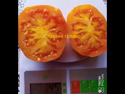 Томат Сладкий Солано (AAA Sweet Solano)