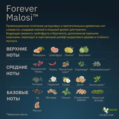 Forever Malosi - Интригующий древесный аромат с освежающими пряными оттенками