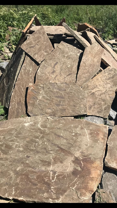 Песчаник рыбка