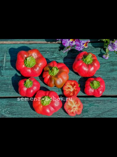 Перец сладкий Sheepnose Pimento (Овечий нос), 10 шт