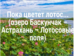 2025г. Астрахань, озеро Баскунчак, Лотосовые поля "Пока цветет лотос..."