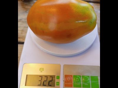 Томат Аббаттиста паста (Abbattista paste)