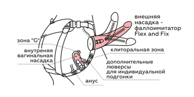 836703 Фаллоимитатор на трусиках Harness Lovetoy
