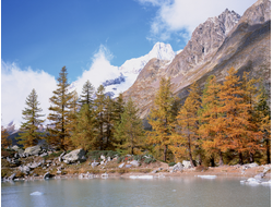 Купить греющую картину с фото пейзаж предгорья