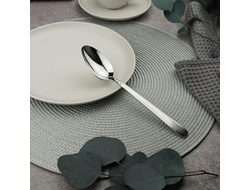 Ложка столовая 21 см