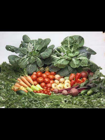 Купить греющую картину с фото урожай овощей