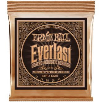 Ernie Ball 2548