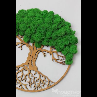 Живая Эко-Картина 1067