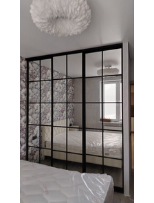 двери-купе зеркало в клетку