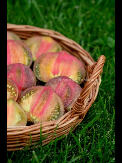 Томат Триумф Софии, 10 шт