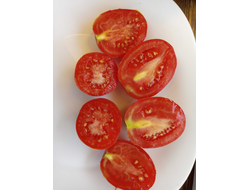 Томат Аргентинская сливка