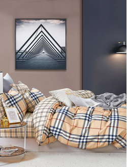 Постельное белье TANGO Twill сатин евро 200x220x1 230x250x1 50x70x2 70x70x2 TPIG6-2006