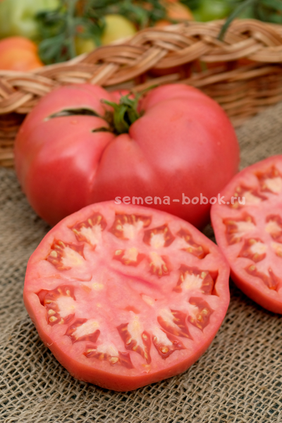 Томат Минусинский Крупный, 10 шт