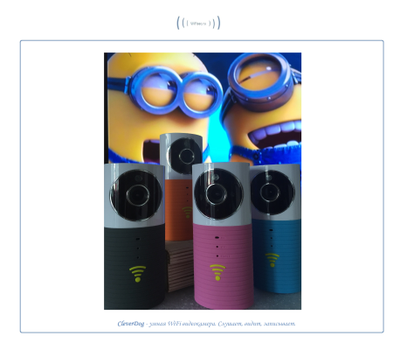 Видеоняня /WiFi видеокамера CleverDog Blue с DVR