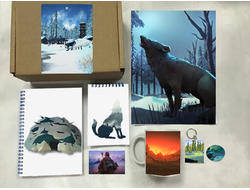 Бокс The Long Dark, Лонг Дарк №6