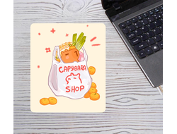 Коврик для мышки вертикальный Капибара, Kapibara-san №15