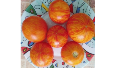 Томат Королева красоты (Beauty Queen)